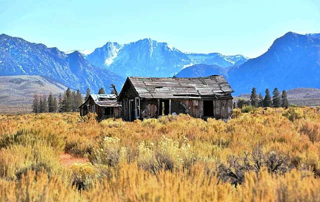 Landscape Horizons photo